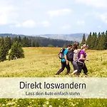 Urlaub Mit Bergblick Wandern Und Natur Geniessen Mit Sauna Im Haus Todtnauberg