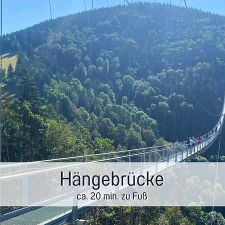 Ideal Fuer Paare - Skifahren Sauna Traumblick Tiefgarage E-laden * Todtnauberg