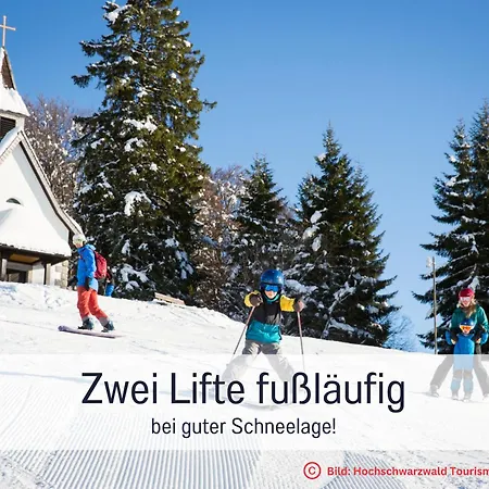 Tannzaepfle Mit Bergblick - Direkt An Wanderwegen Mit Sauna Im Haus Naehe Skilift Und Loipe, E-ladestation アパート