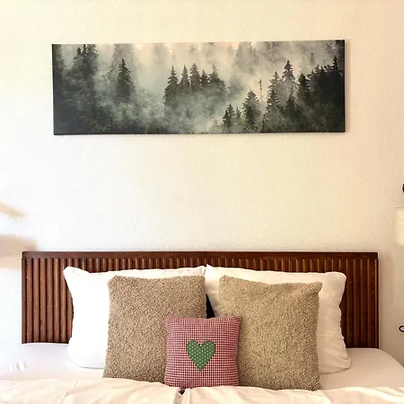 Ideal Fuer Paare - Skifahren Sauna Traumblick Tiefgarage E-laden Appartamento Todtnauberg