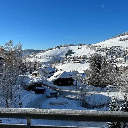 Appartamento Ideal Fuer Paare - Skifahren Sauna Traumblick Tiefgarage E-laden Todtnauberg