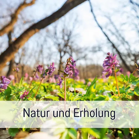 Urlaub Mit Bergblick Wandern Und Geniessen Mit Sauna Im Haus *