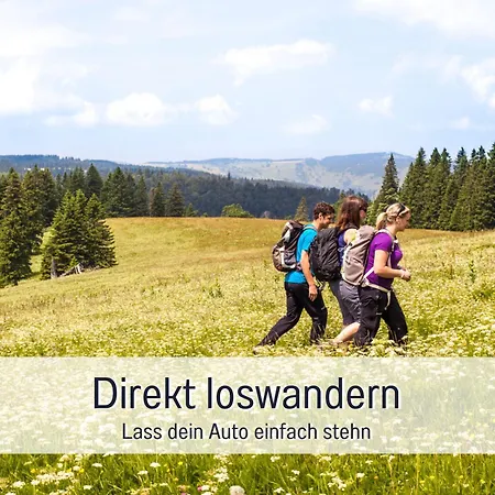 Urlaub Mit Bergblick Wandern Und Geniessen Mit Sauna Im Haus Todtnauberg