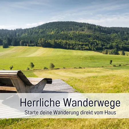 Lägenhet Urlaub Mit Bergblick Wandern Und Geniessen Mit Sauna Im Haus *
