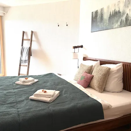 Lägenhet Urlaub Mit Bergblick Wandern Und Geniessen Mit Sauna Im Haus Todtnauberg