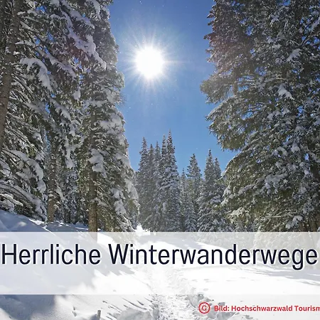 Tannzaepfle Mit Bergblick - Direkt An Wanderwegen Mit Sauna Im Haus Naehe Skilift Und Loipe, E-ladestation